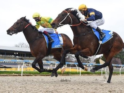 Holster ready to fire at Werribee Image 1